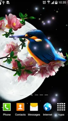 Sakura and Bird Live Wallpaper android App screenshot 3