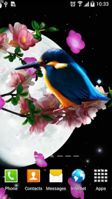 Sakura and Bird Live Wallpaper android App screenshot 5